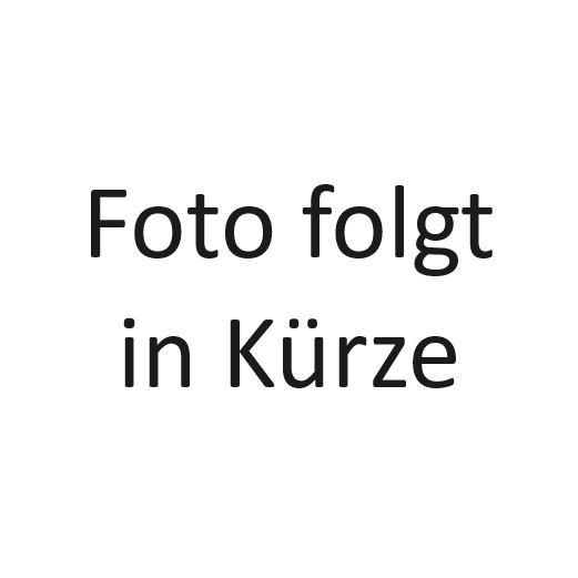 Pressesprecher