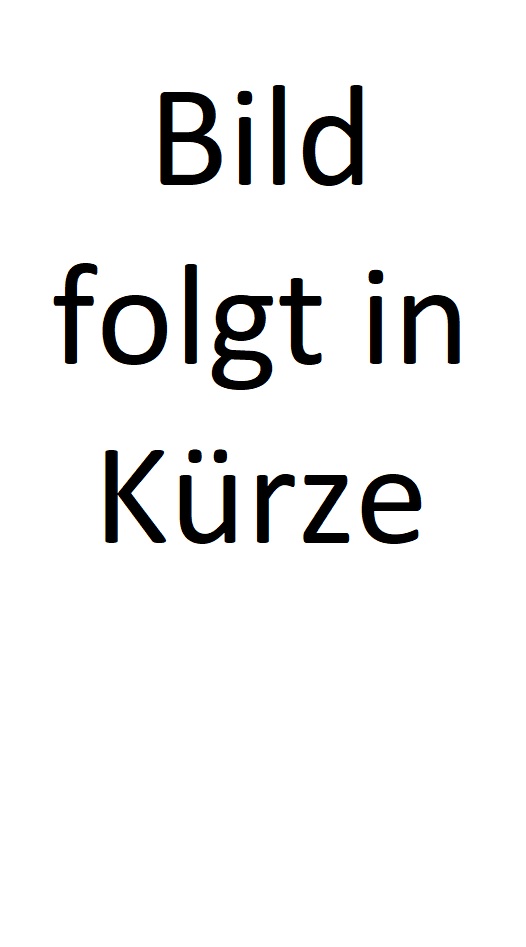 Steeldart Mannschaft